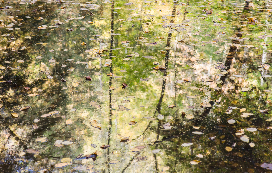 Reflections